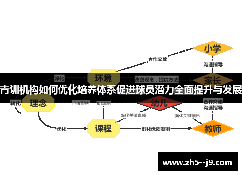 青训机构如何优化培养体系促进球员潜力全面提升与发展