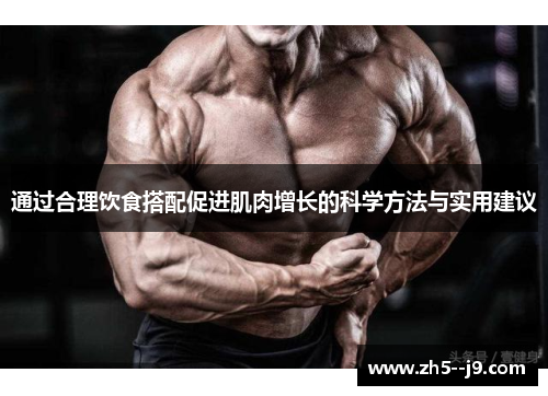 通过合理饮食搭配促进肌肉增长的科学方法与实用建议